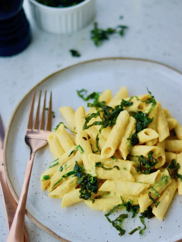 molho cremoso de abóbora e tofu servido em um prato com macarrão penne