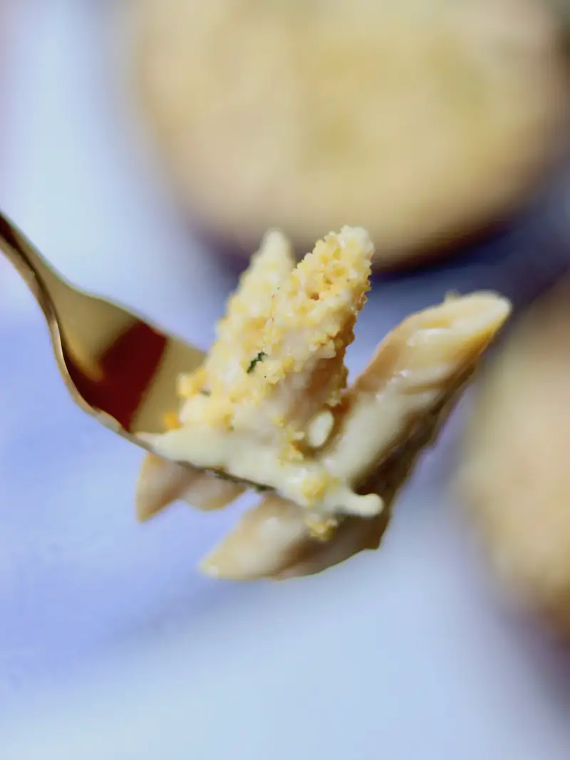garfo com mac and cheese vegano