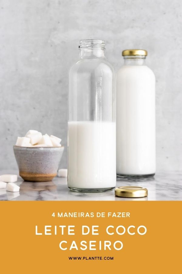leite de coco caseiro