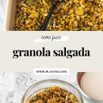 granola salgada caseira