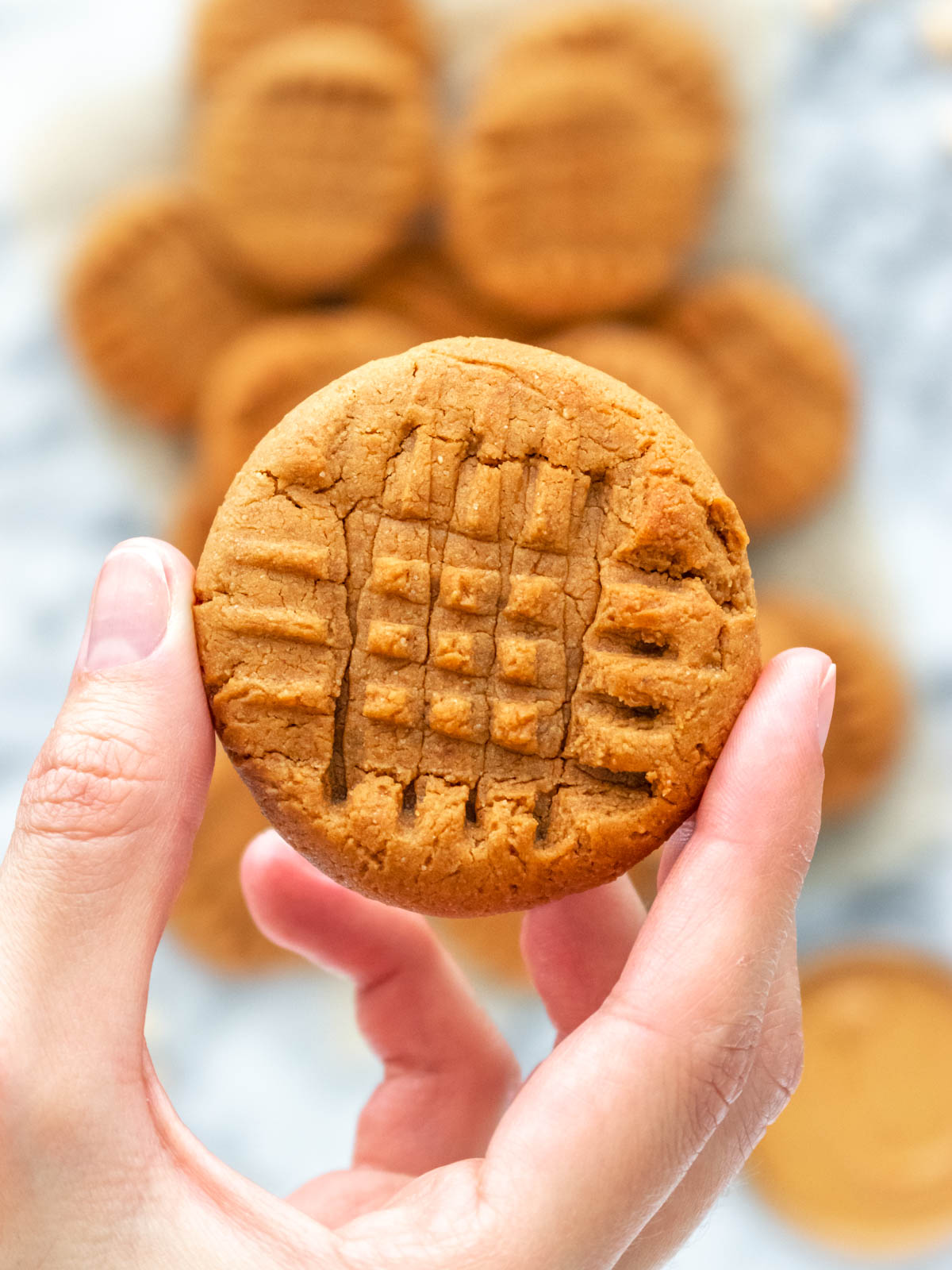 mão segurando um cookie de pasta de amendoim