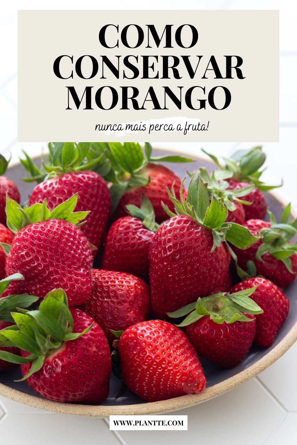 morangos frescos em um prato raso