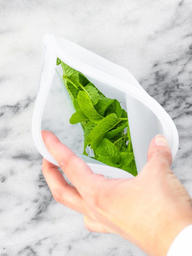 Como Congelar Hortelã (Folhas Frescas) | Plantte