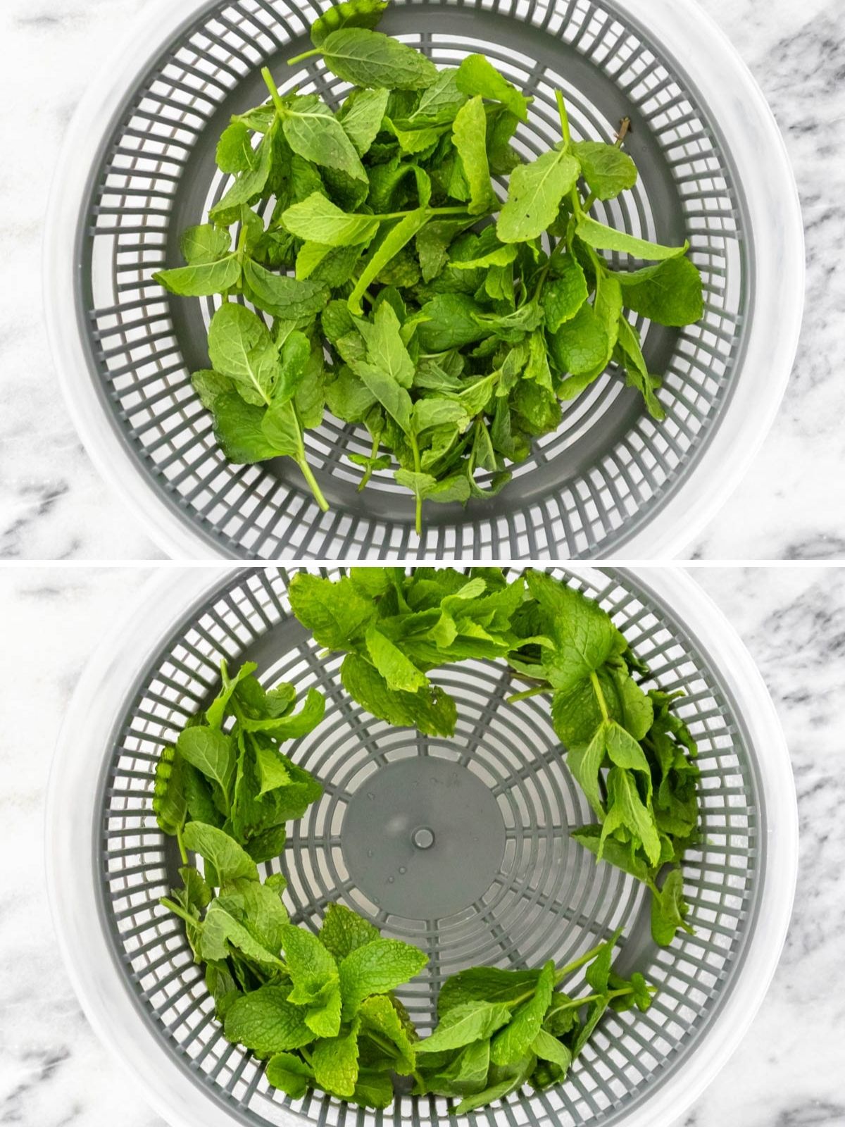 folhas de hortelã dentro de secador de salada