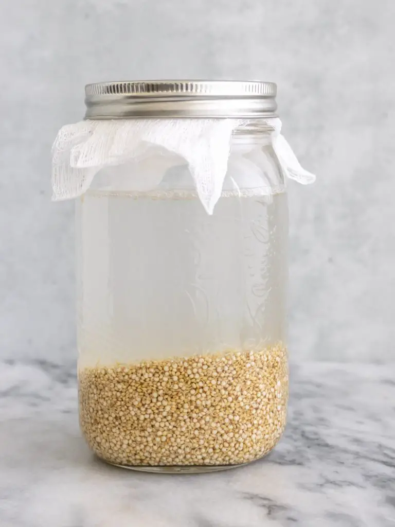 Como Fazer Rejuvelac de Quinoa (ou outros grãos) Plantte