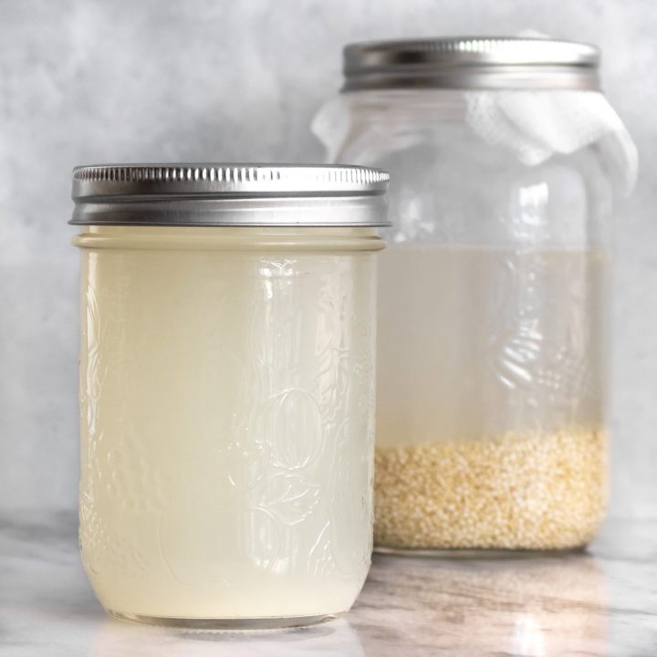 Como Fazer Rejuvelac de Quinoa (ou outros grãos) Plantte