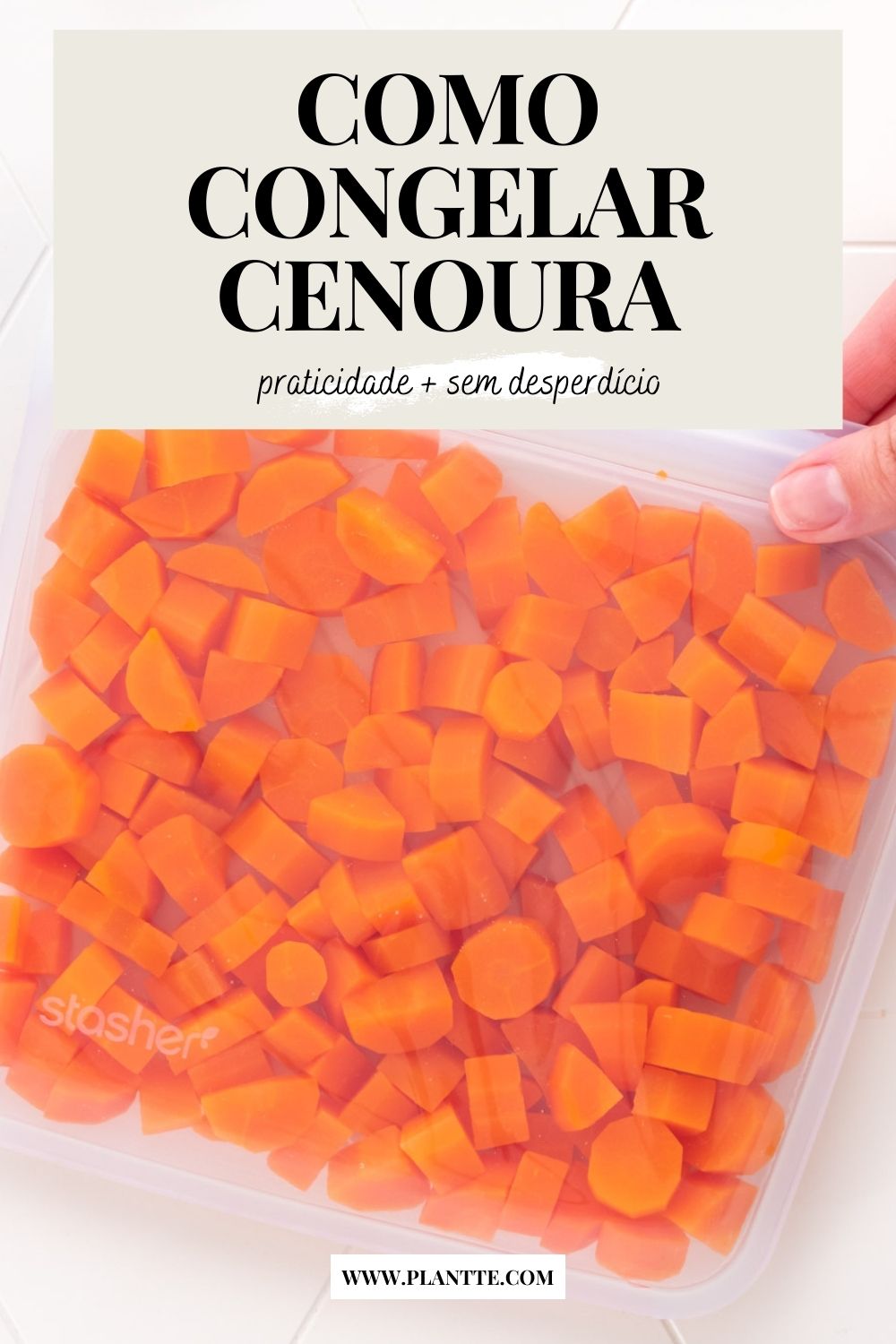 cubos de cenoura branqueados dentro de um saco de silicone hermético