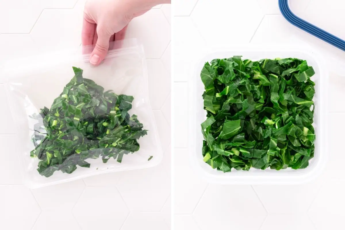 couve picada e branqueada armazenada em um saco de silicone e em um pote de plástico