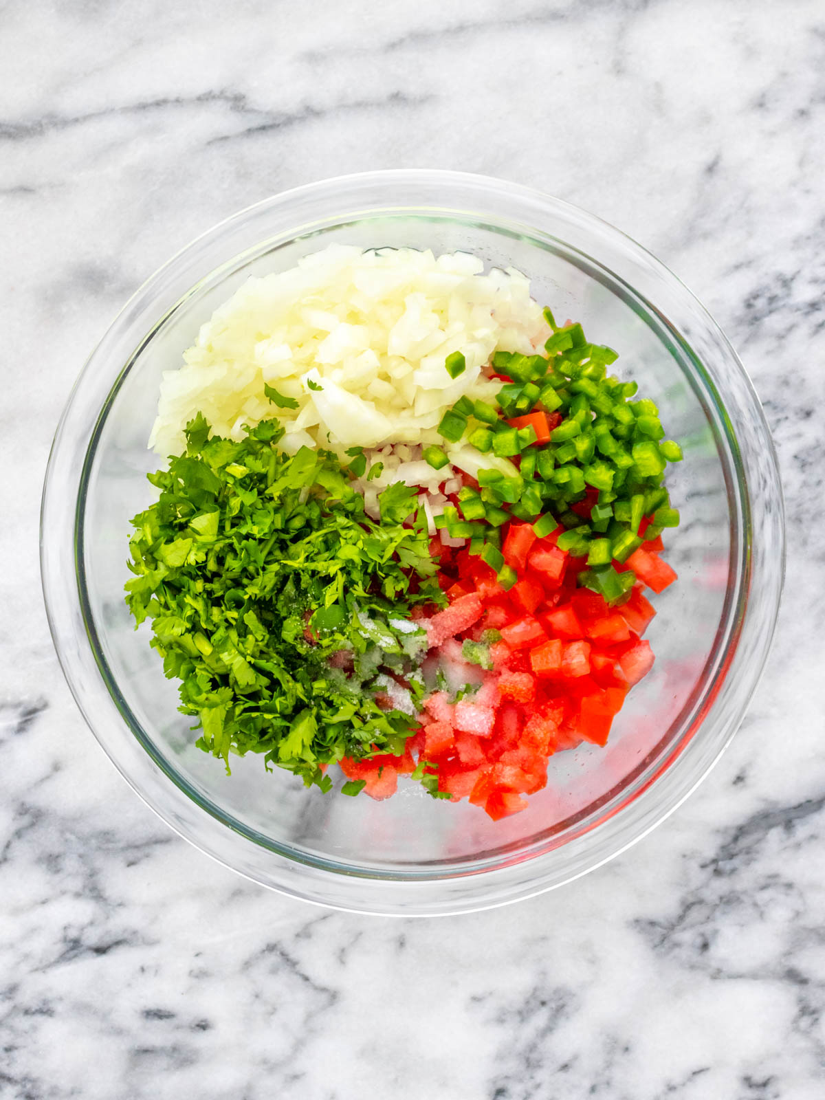 ingredientes para fazer pico de gallo dentro de uma vasilha (tomate, cebola, Jalapeño, coentro)