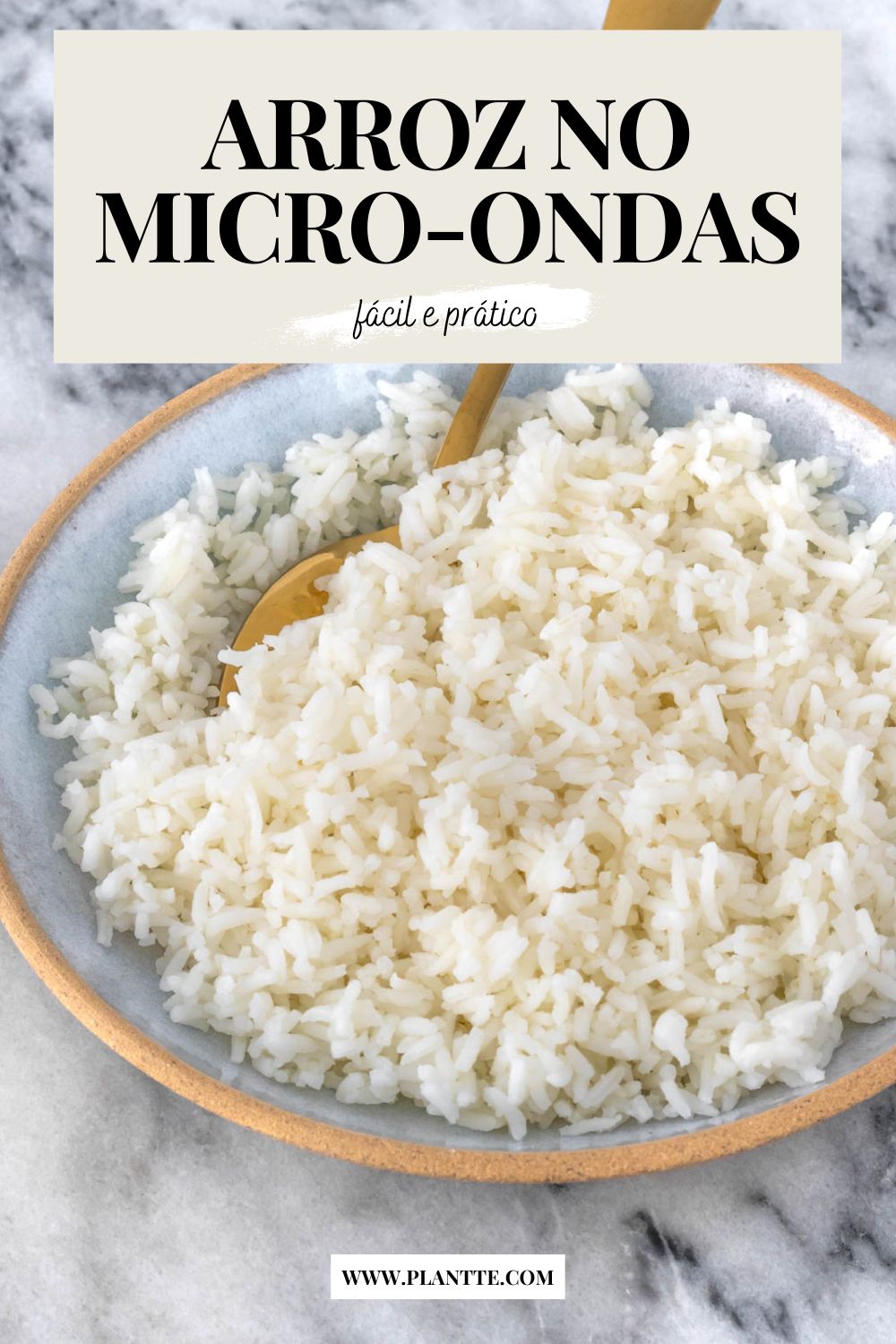 prato de arroz cozido
