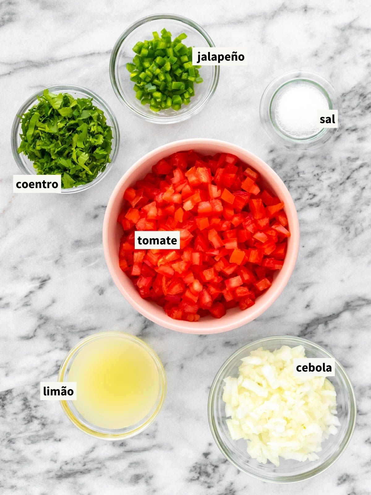 ingredientes para fazer pico de gallo, incluindo tomates, cebola, pimenta jalapeño, coentro fresco, suco de limão e sal