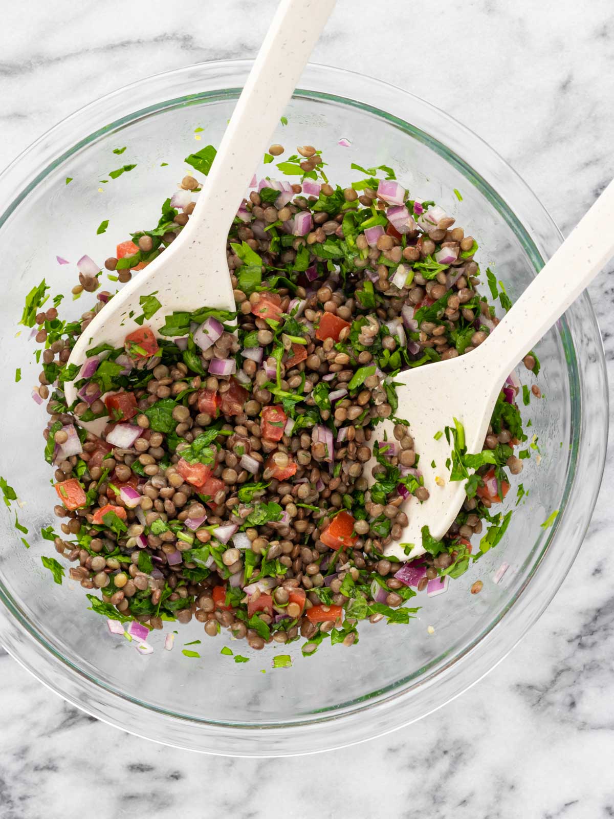 salada de lentilha recém preparada em uma vasilha grande