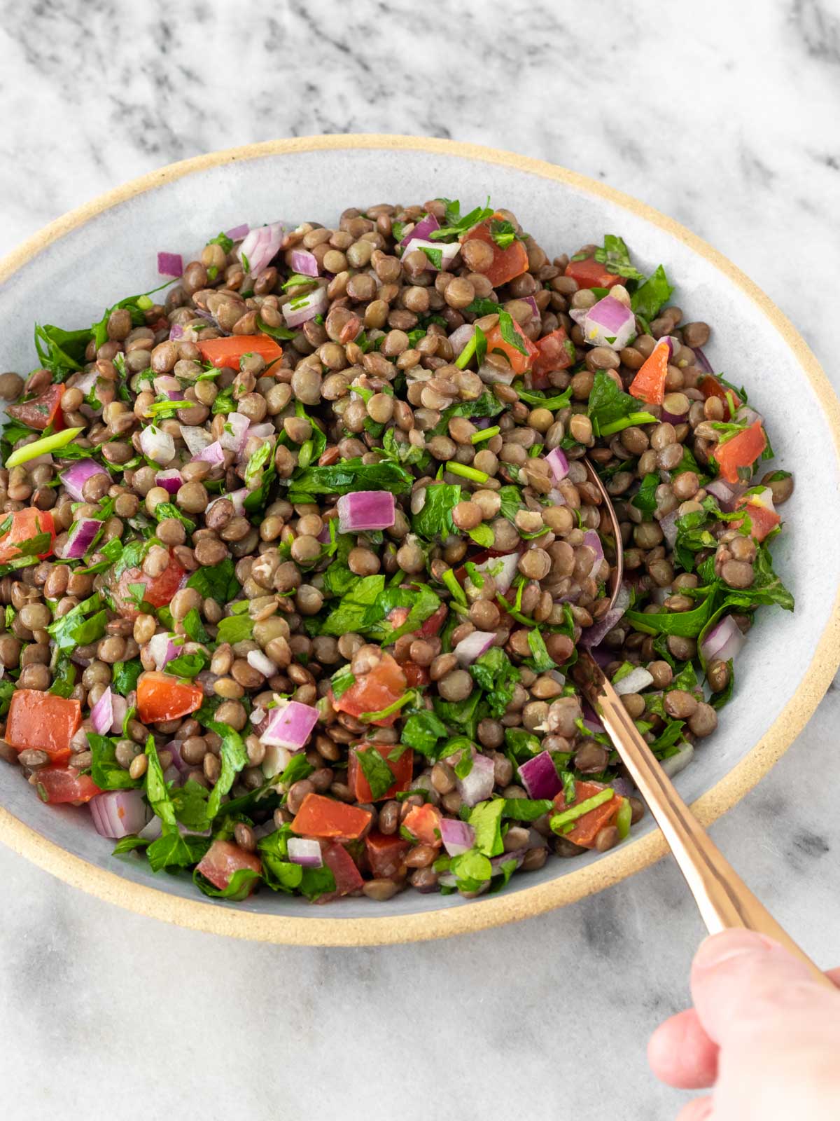 salada de lentilha servida em um prato com uma colher