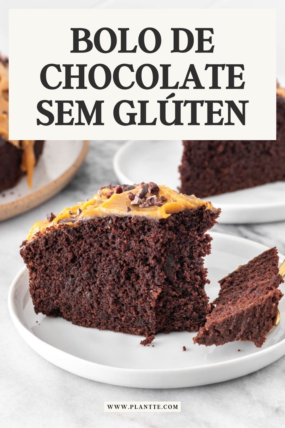 Bolo de Chocolate Sem Glúten e Vegano | Plantte