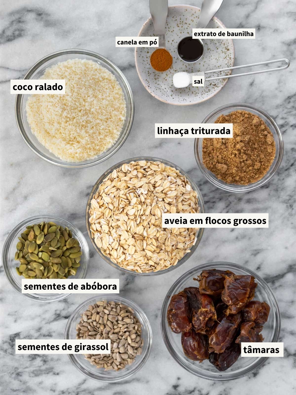 ingredientes para fazer barrinha de cereal caseira, incluindo aveia em flocos grossos, tâmara medjool jumbo, coco ralado, sementes de abóbora sem casca, sementes de girassol sem casca, farinha de linhaça, canela em pó, extrato de baunilha e sal.