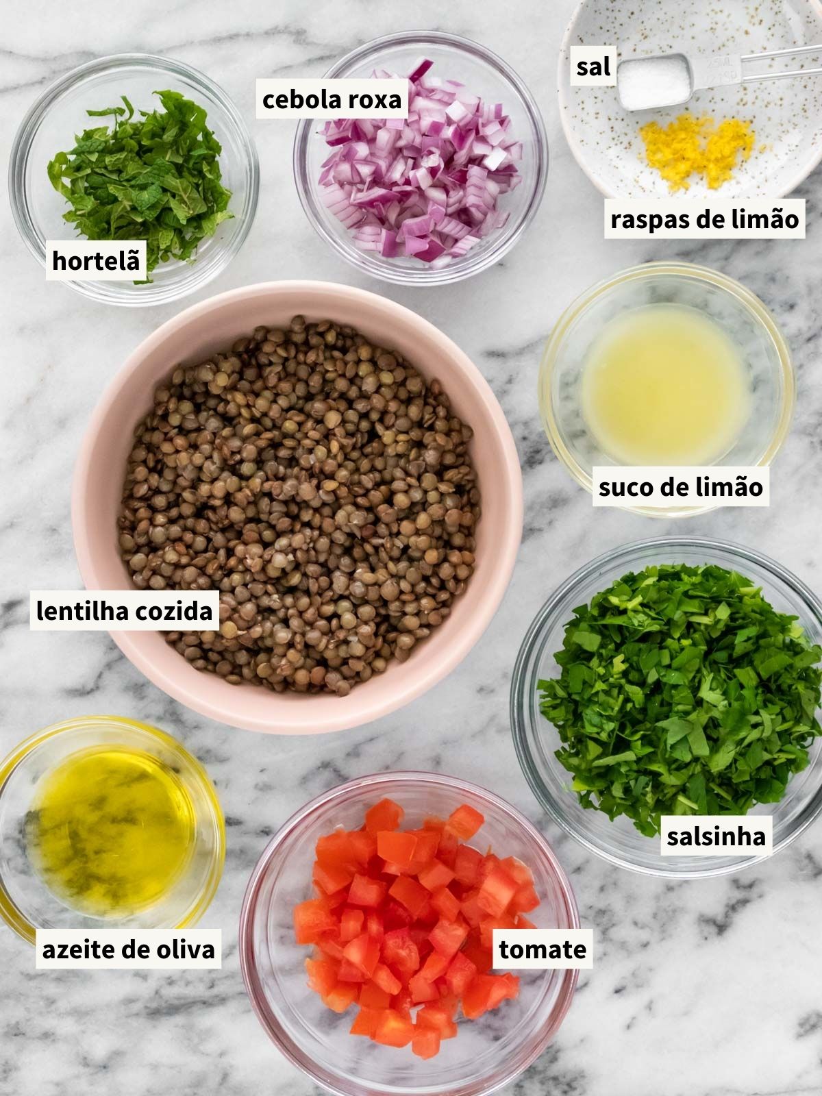 ingredientes para fazer salada de lentilha simples, incluindo lentilha, tomate, cebola roxa, salsinha, hortelã, azeite de oliva, sal, raspas de limão siciliano, suco de limão e pimenta-do-reino moída